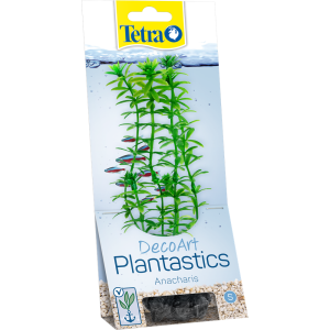 Tetra Anacharis S