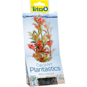 Tetra biljka Red Ludwigia