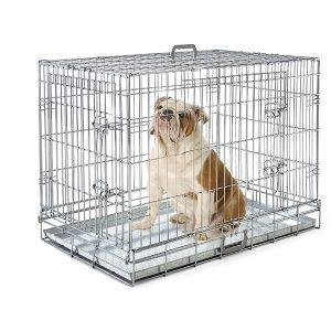 Box Cane 104
