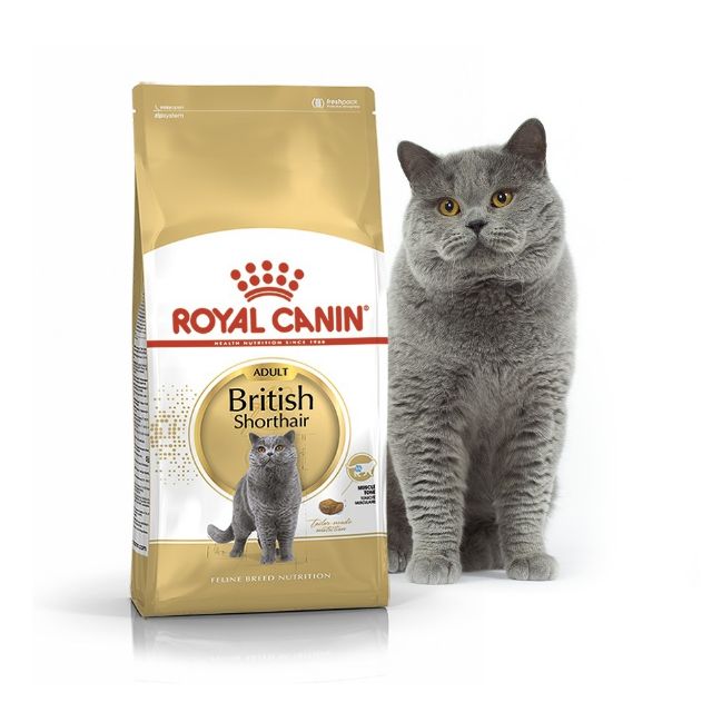 Royal Canin British Shorthair, 2 kg