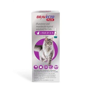 Bravecto Plus zaštita za mačke težine 6.25-12.5 kg – 500 mg