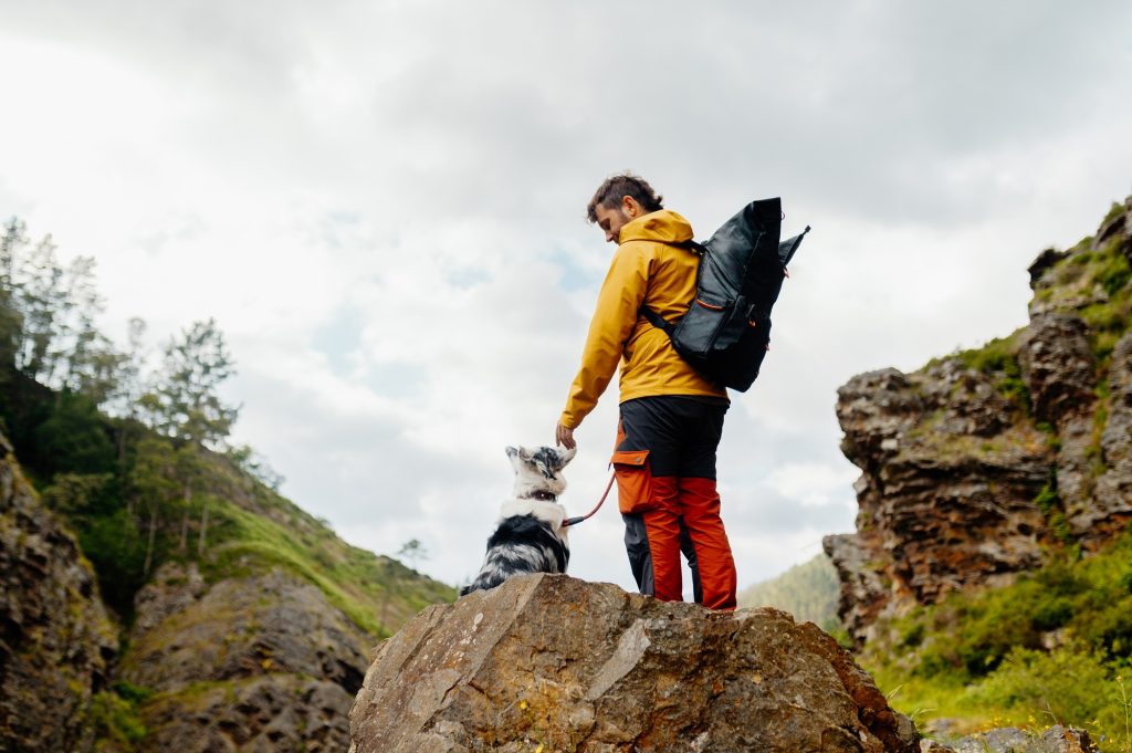 hiking with a pet
